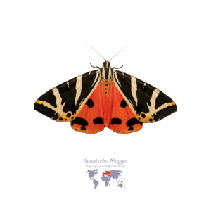 Spanische-Flagge