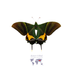 Kaiser-i-Hind